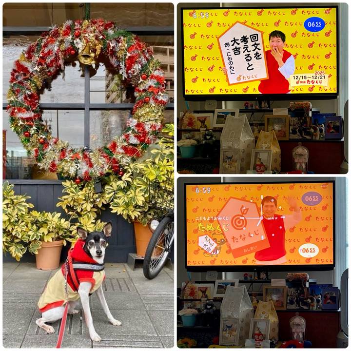 94fe74d6 1b95 4bf9 9867 1684f34981ac 1765750723746