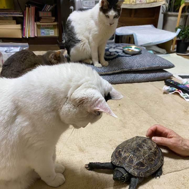 94feda0e 1111 4e5a 8834 8824be25949e 1653660094933