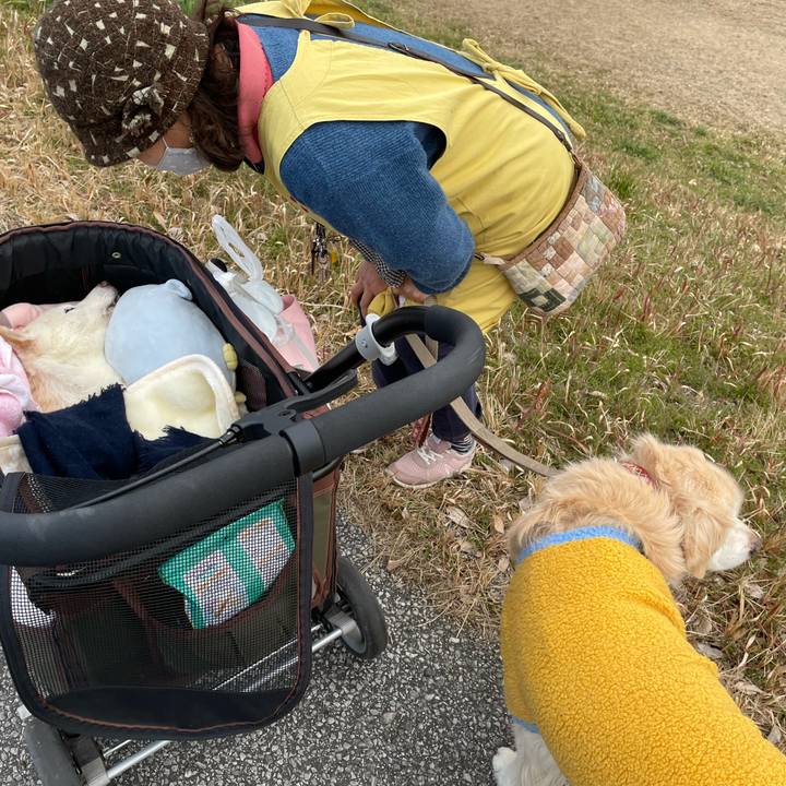 94ff37f6 a4f7 4a43 bb98 fc7e7671af7c 1675941004805