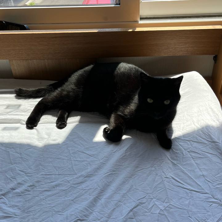 94ff3be1 4bca 4374 adfe 04baee5715a0 1683211203178