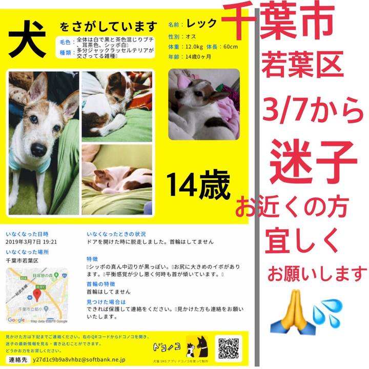 94ff512b 8a09 4075 9fcd 7b36c6a97251 1554346055628