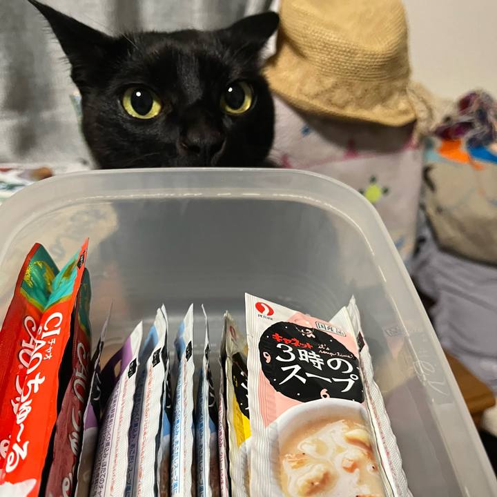 94ff7bc8 0c98 4ad9 87f1 e900431d49ce 1707832775325