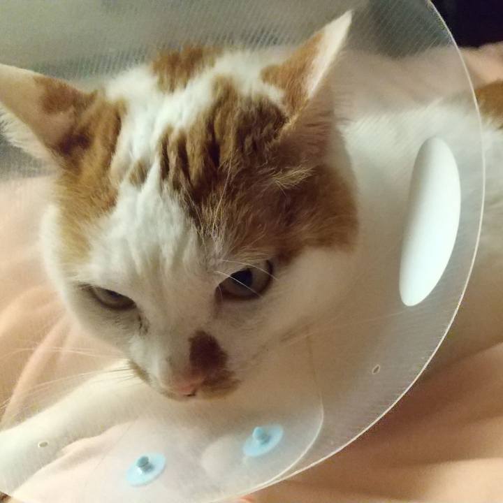 94ff906b f7db 435d be30 3936dd5fe6d0 1679986299814