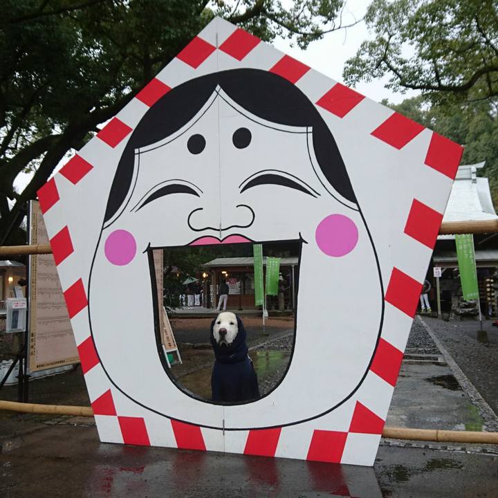 94ff97d4 1cec 4237 9c72 2c6080ce5e09 1549152396902