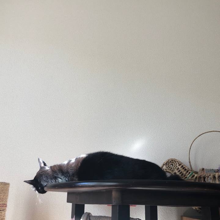 94ffbc73 62b1 4609 8100 7720cdf79603 1544842224767