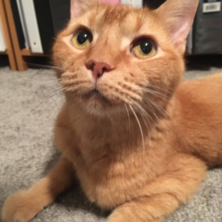 94ffdb12 2c0e 4050 92ca 1e4395b5467a 1666506353922