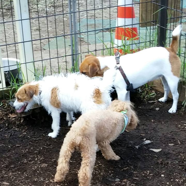 95000d8b 56a1 4ae6 9a28 bfa8c6689f1b 1537163982541