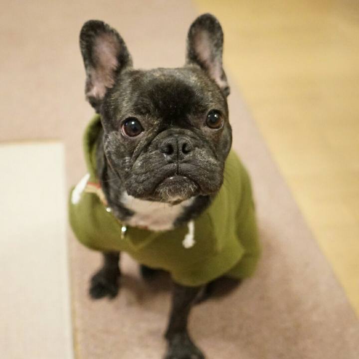 9500710e b3bb 4b69 9691 1cd2d0b5ec3a 1513601449093