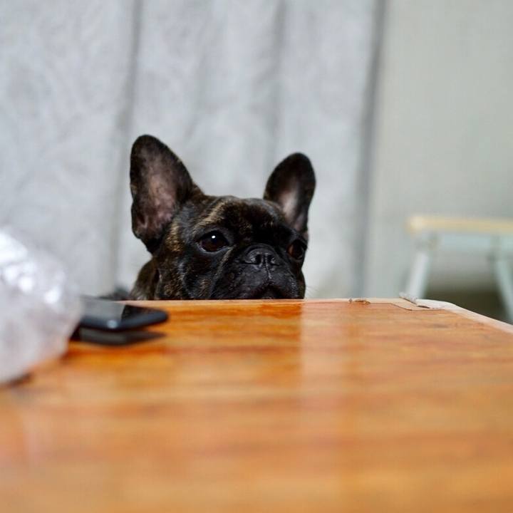 9500da54 c3b8 4a62 b0f3 4f6dfe452410 1513519892219