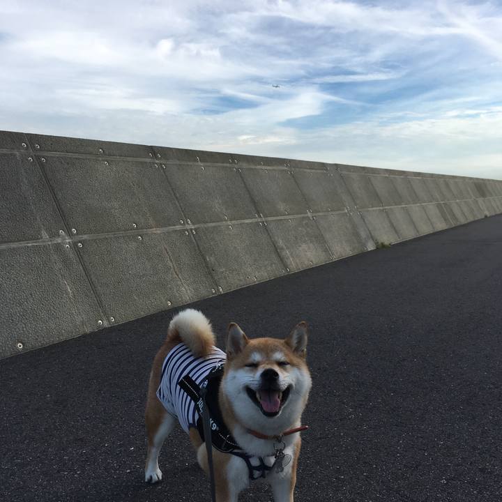 9500e955 dada 46ef 93f7 cf32cd13b5dd 1529397164480