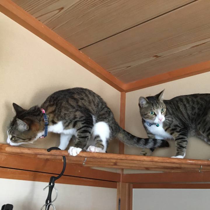 950100b4 11ee 4339 a1a8 9ba5cfb7561b 1692854855131