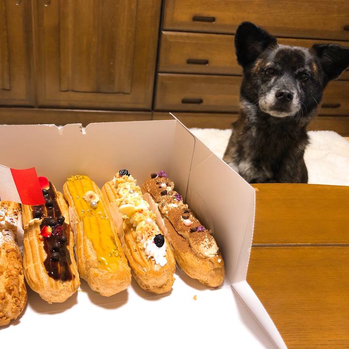 9501093f 90e2 4667 a98b b92fc4f1ef71 1575813869623