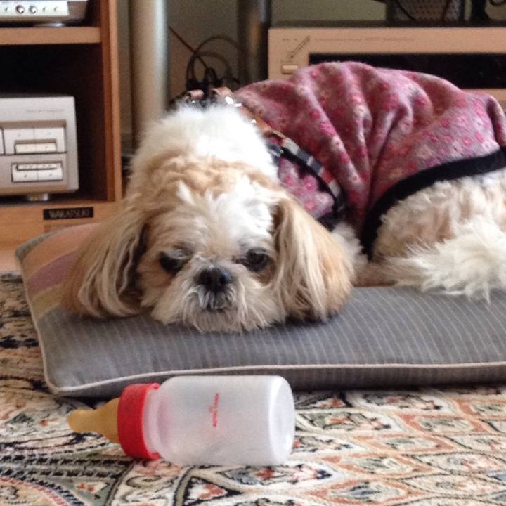 95010a4b 2e69 4b5e 9ec4 d7224f623b4d 1513028609074