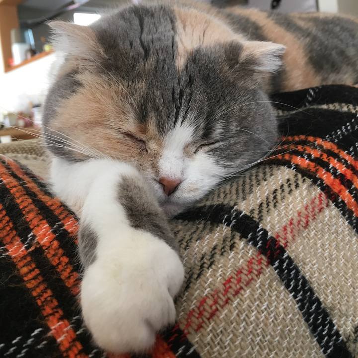 95011d04 1bd0 4802 b6ab 897af5853cdd 1556620057273