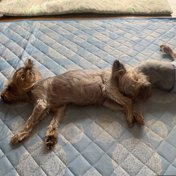 950158c0 4fa0 465c be3f 94235ef26681 1662458516347