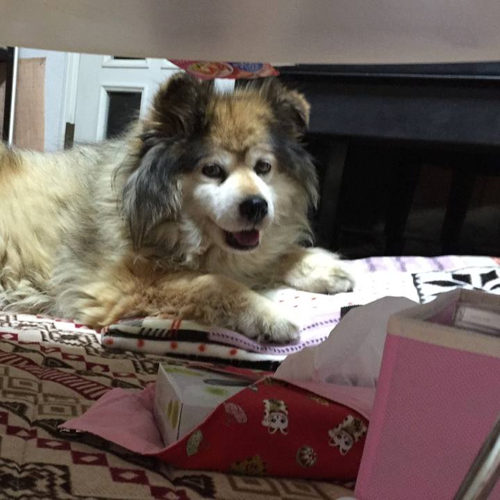 95015d9d 144a 49ac a3d6 99a30bd96256 1627445902342