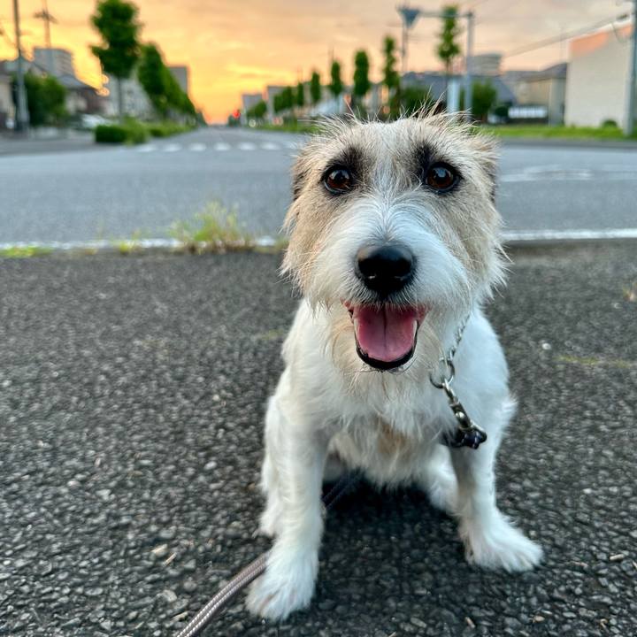 95016444 7d69 4f46 ad50 a1eeec2aee7b 1722215816763