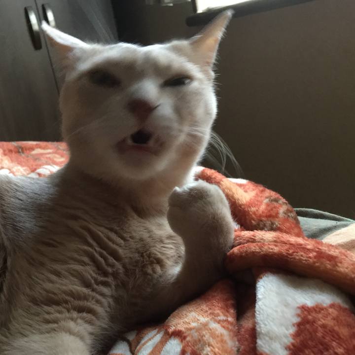 95016554 c5ea 4419 be8a 71df7f033a21 1522742639521