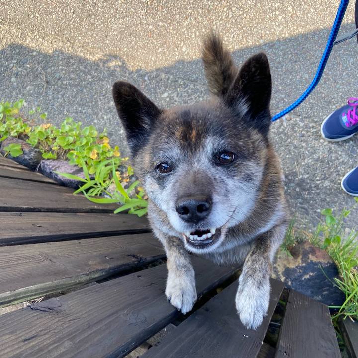 95017481 a8f2 4ac0 b56e 8085b3c9e179 1657150635316