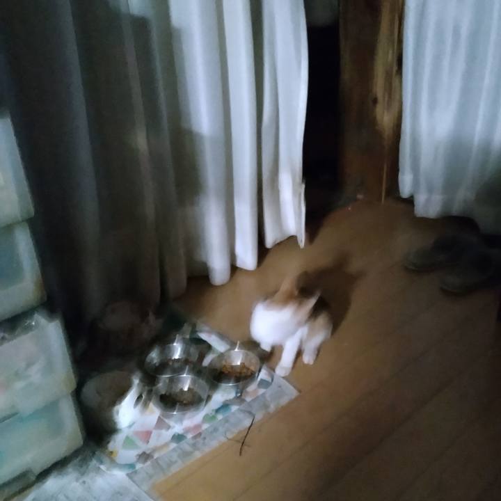 9501894e 1f15 4921 a187 a746ed44fff2 1727042894424