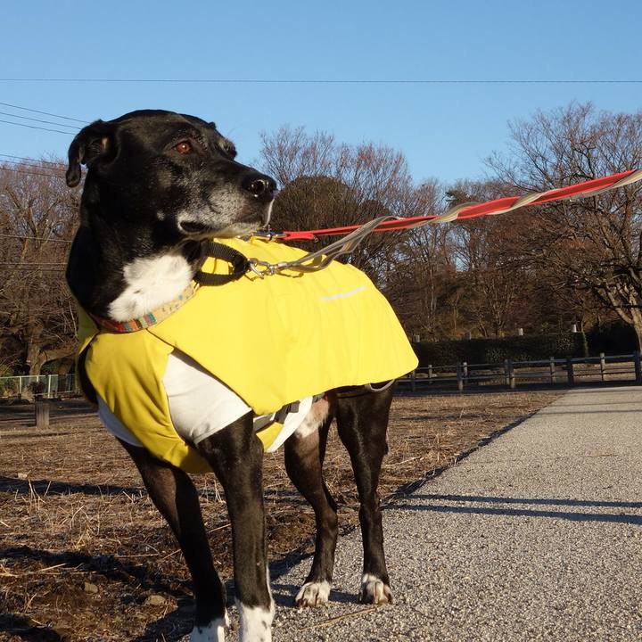 95019ee7 8113 411b 9841 18d6f03c8921 1736813563112