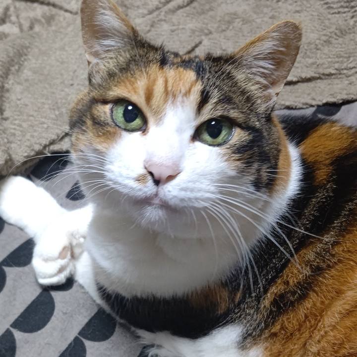 9501a566 47f0 4d72 a2c1 1f86b2391567 1631622192883