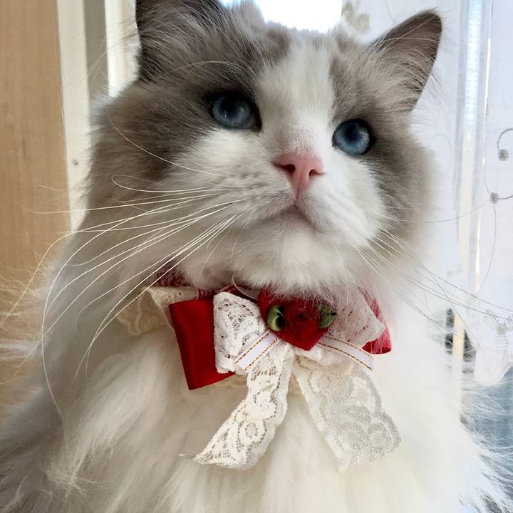 9501bbc4 0756 463b 9950 d8383ed8f956 1610258517692