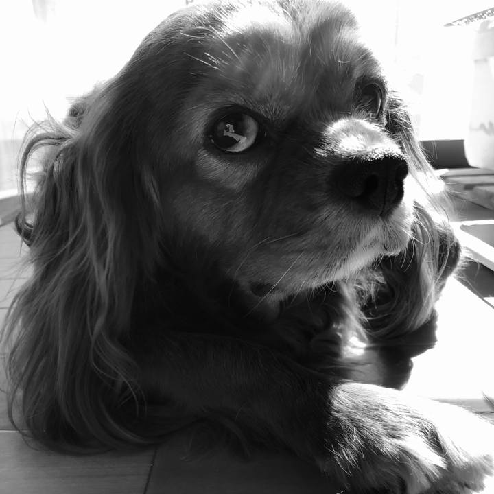 9501bd2c 0ae4 48a8 b693 b6d4fef3aedd 1613204373447