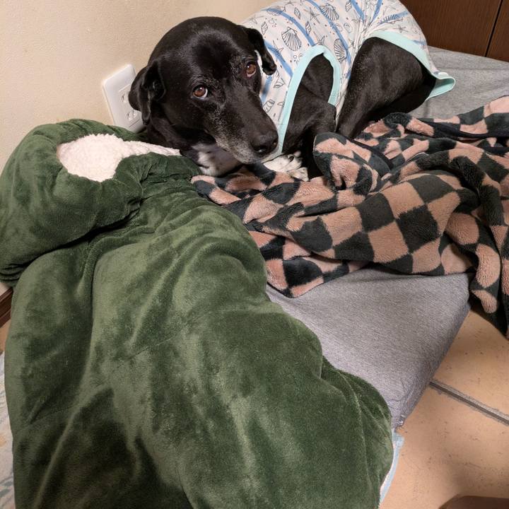 9501e0fc 869a 4ea5 ac22 3b128205f2ab 1739743415813