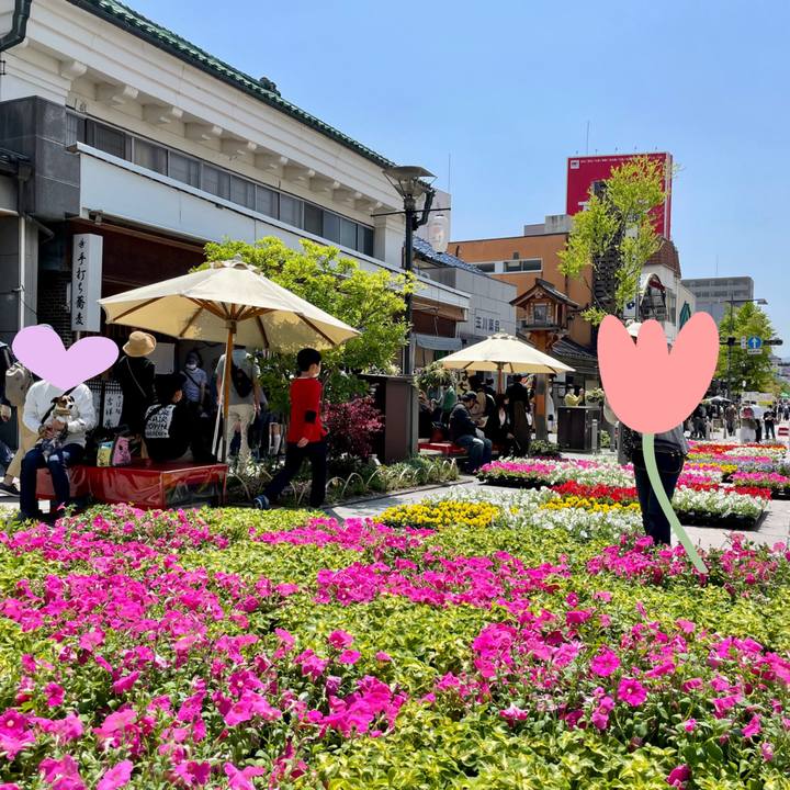 9501fec1 ad3c 48a1 aab6 a6ba5721bcee 1651643458868