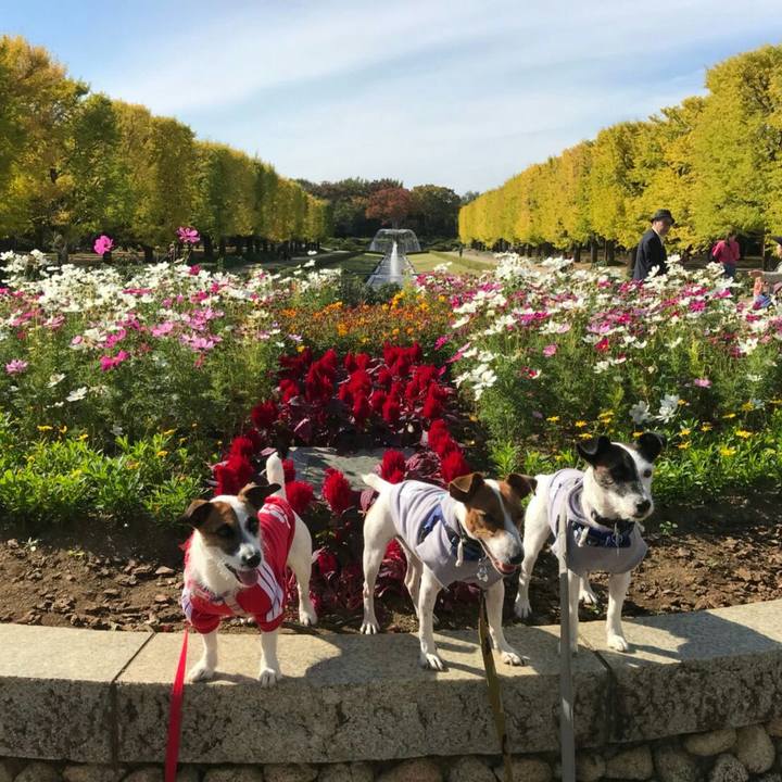 950210b9 8484 40fa b5c1 2848863aa006 1540973415104