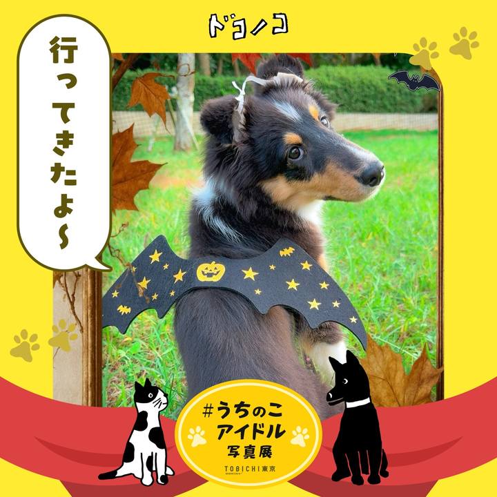 95023201 3e8b 4676 a4ef 273faa285603 1761340700680