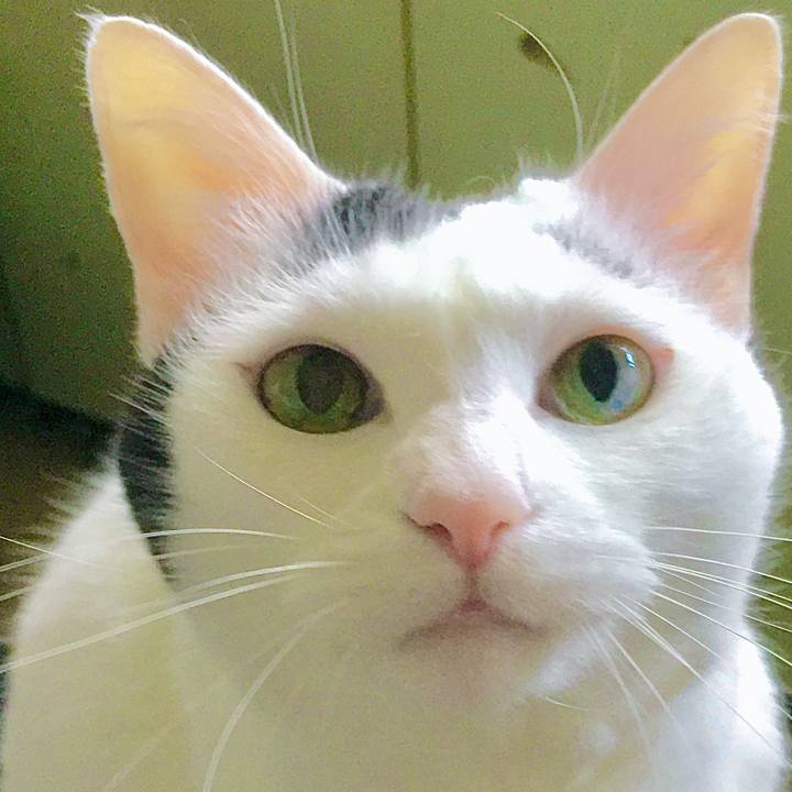 950260bf 2adf 4f51 8e30 f1bba732de3d 1594190466495