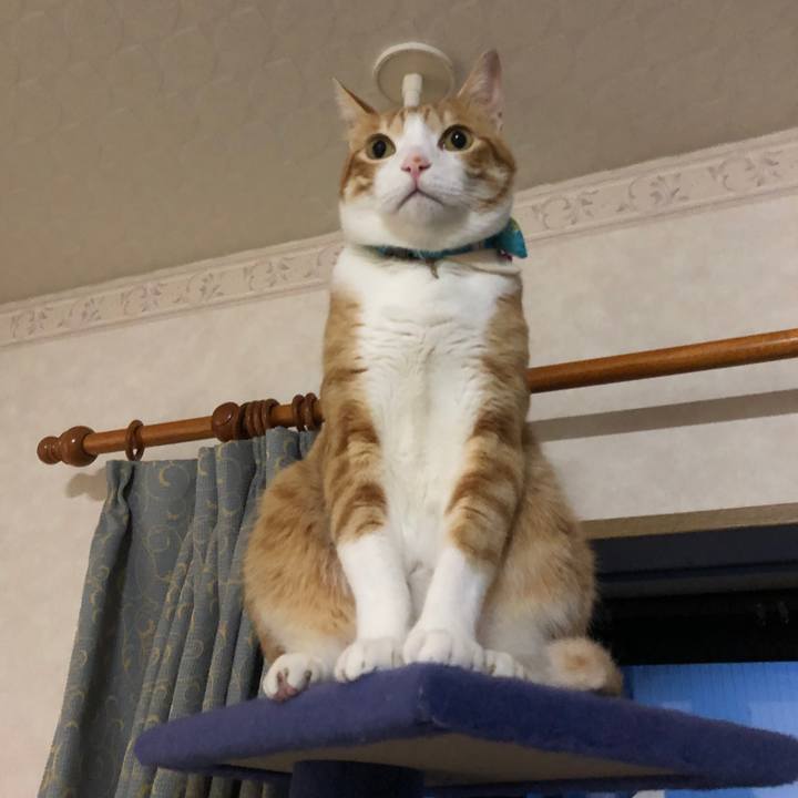 9502c06f 02b2 4843 8285 a609141f7fdc 1567422575381