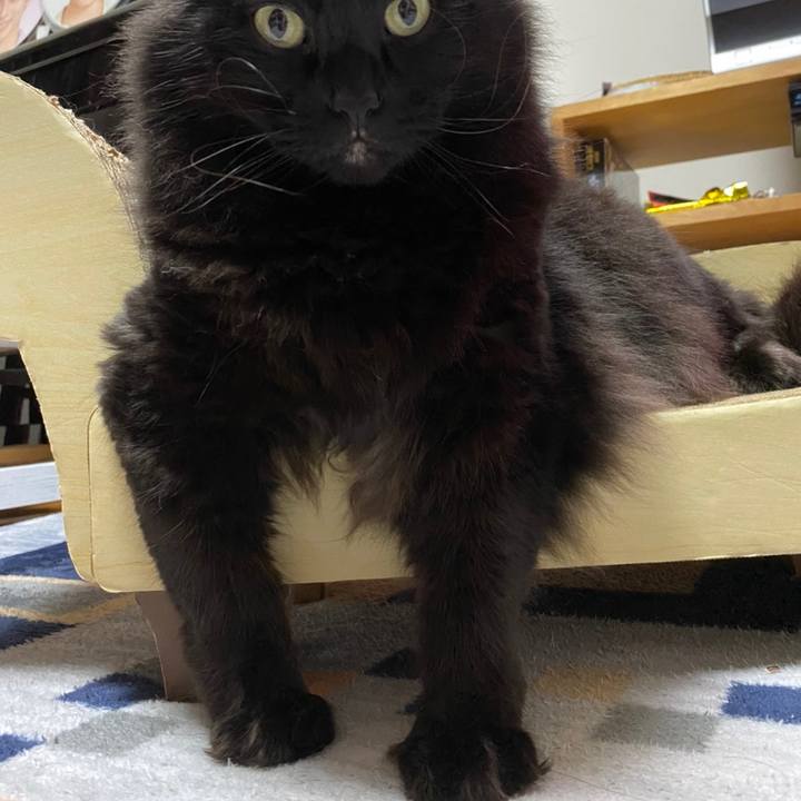 9502ce01 5330 4678 9efa fe1a8fc18b7b 1603968029654