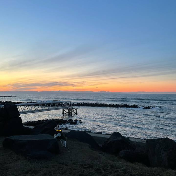 9502d4b6 fdf5 4aea 9996 e6f74ade8e3b 1615112904524