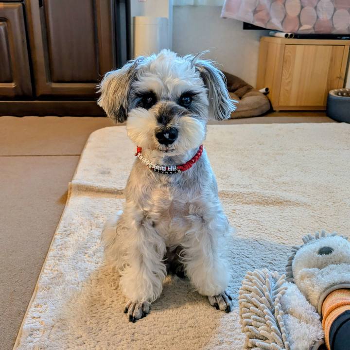 9502dc16 008d 4e40 a0b0 f2e97a30ce6b 1763260638334