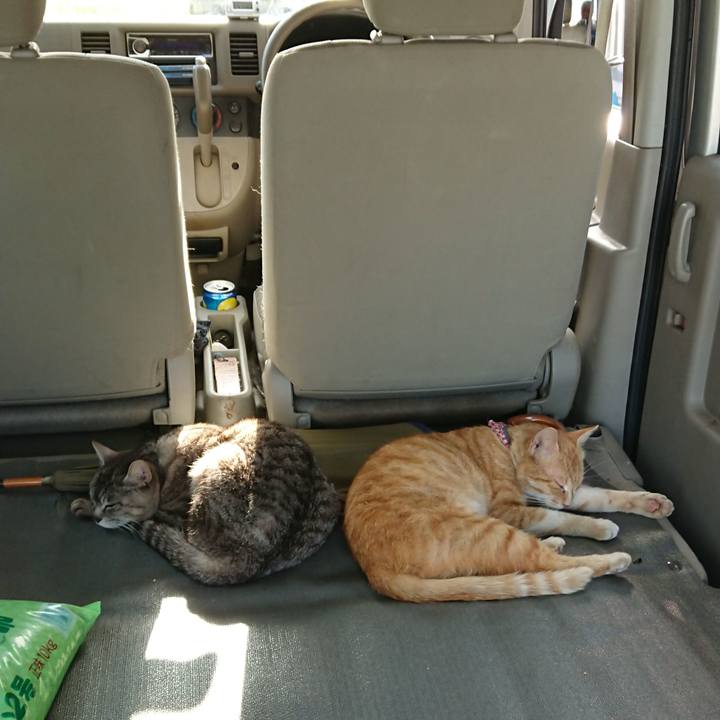 9502ee79 9eaf 453a 896b 99734d749b96 1559203318347