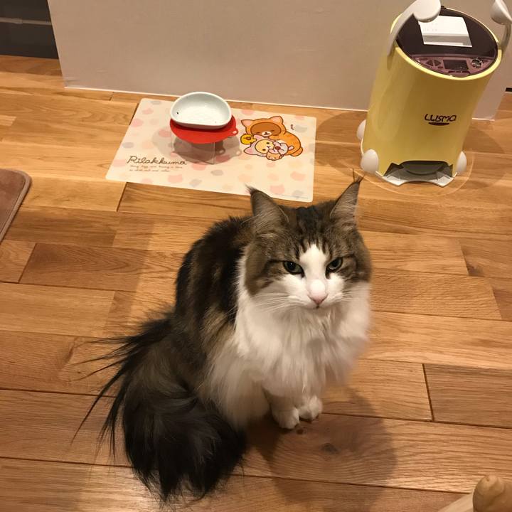 9502f88f 3c25 46ca 8e33 b669796e9a91 1575809303488