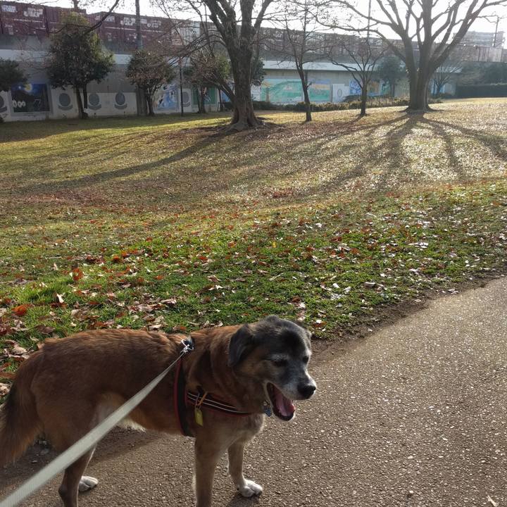 9503074f 425f 43b6 b377 366ddd959723 1545264655730