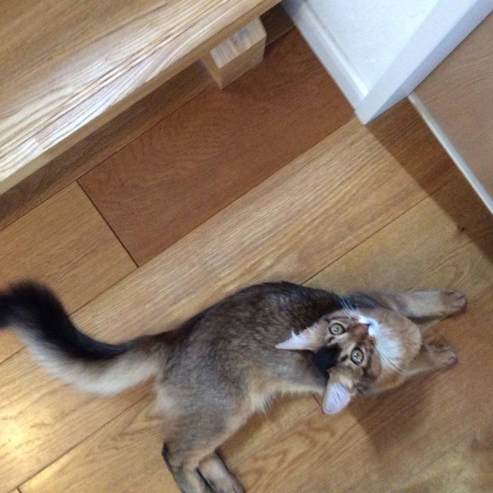 9503111a 6c42 4f55 ac07 7b0bf9b0b12f 1564188589078