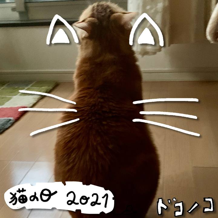 95034028 e8be 4480 8122 a7e49bc70641 1614031921943