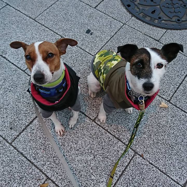 950340ca 1e15 4c83 9621 92dab78ae21b 1548195101497