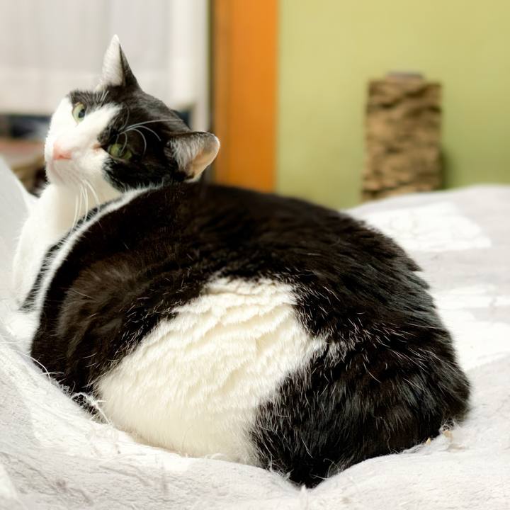 950344df 03d8 4904 a9fa e4f52a118d98 1586138401279