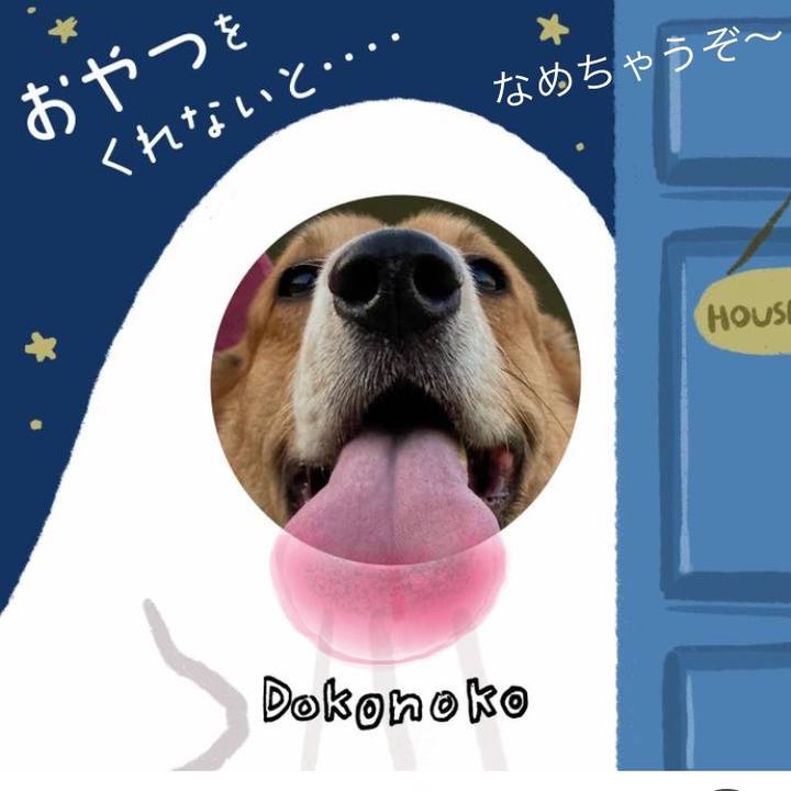 9503506d bd8e 4727 bdc3 9ba91ecd885b 1729127506284