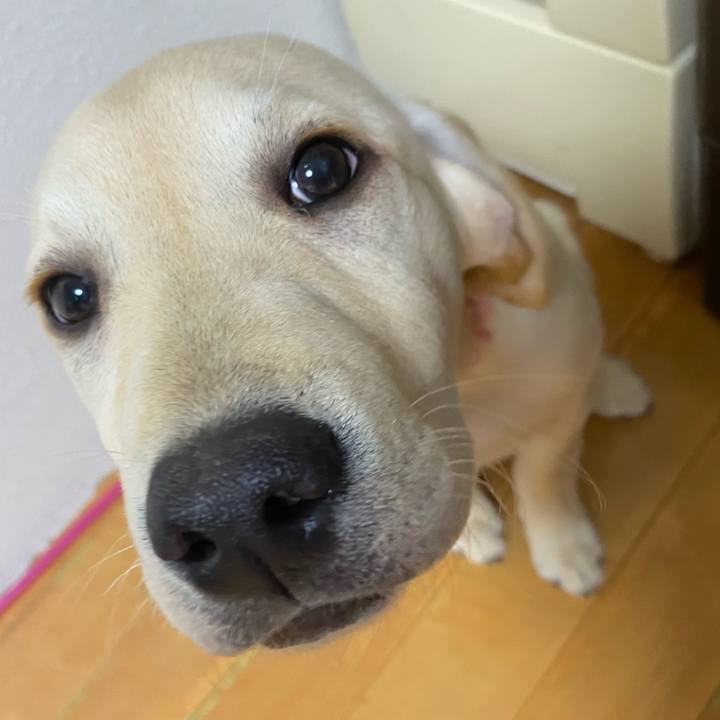 95036533 5696 4265 a26b b838aeb845e4 1614594130605