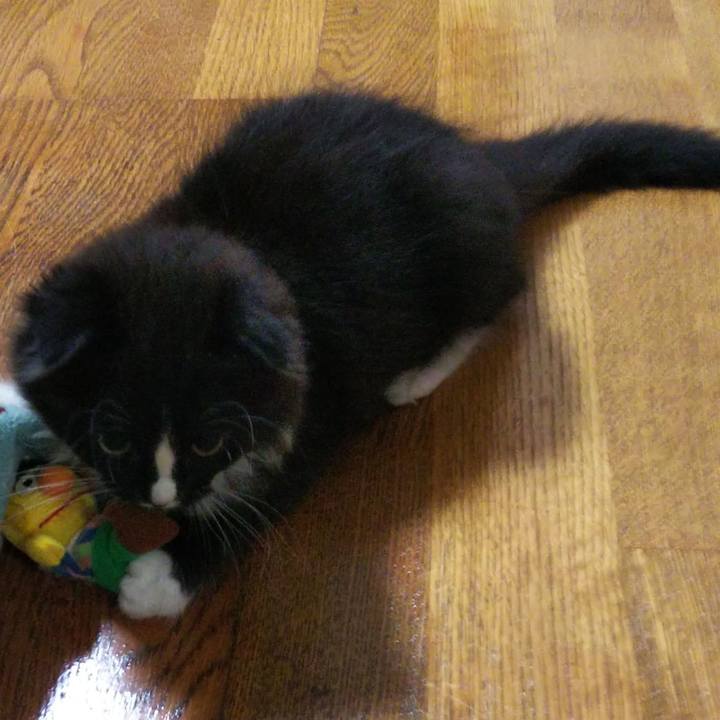 95036ac9 4de5 4792 bb2d ffd076bc8f3c 1639519350135