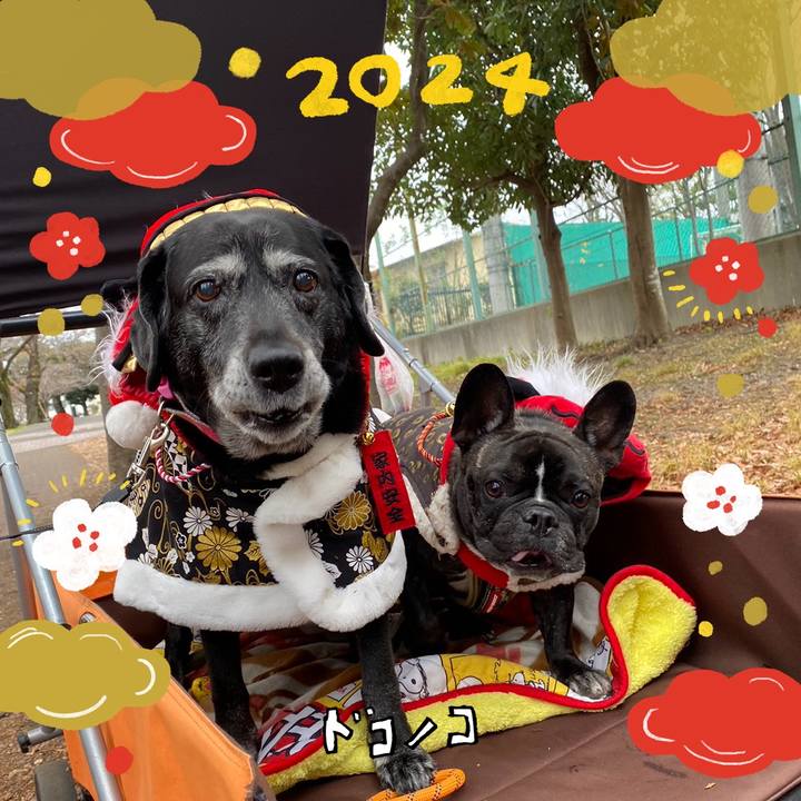 95038019 e86a 4213 8bb6 14f99631bd91 1704165635813