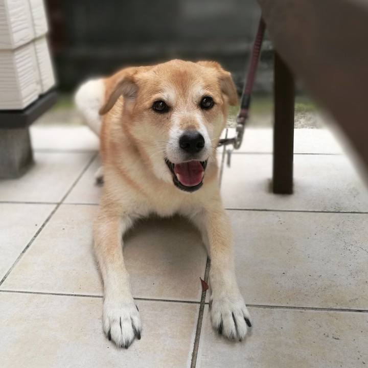 9503bbbf f281 4a24 a82c d9850de33728 1567071595445