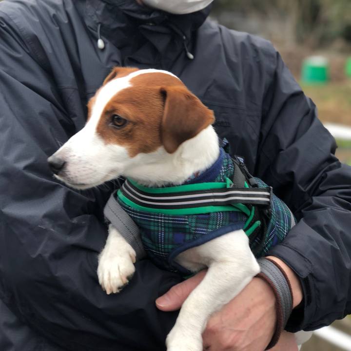 9503fd23 cd70 4599 91ad 06cd848f624e 1549091345195